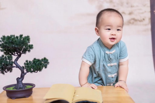 长兴可爱的企鹅宝宝